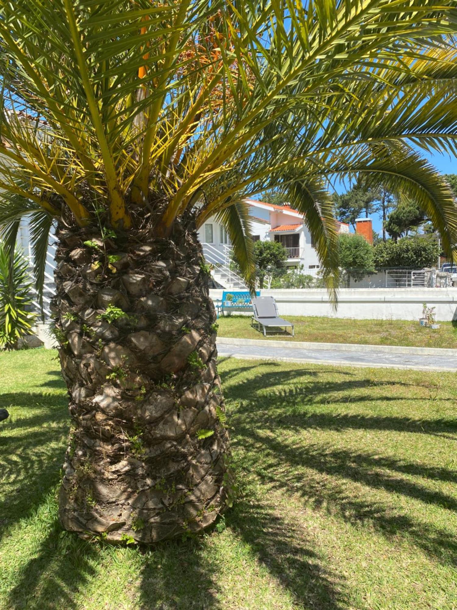 Apartament Itaca Experience Playa Do Cabedelo Viana do Castelo Zewnętrze zdjęcie